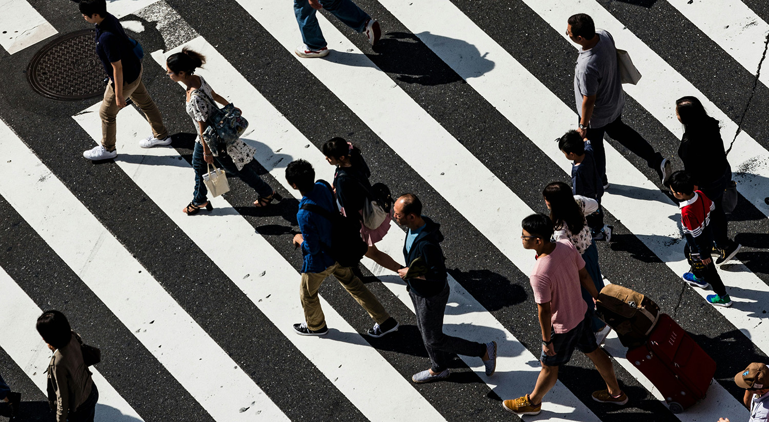 Cronología humanista y ecología misantrópica